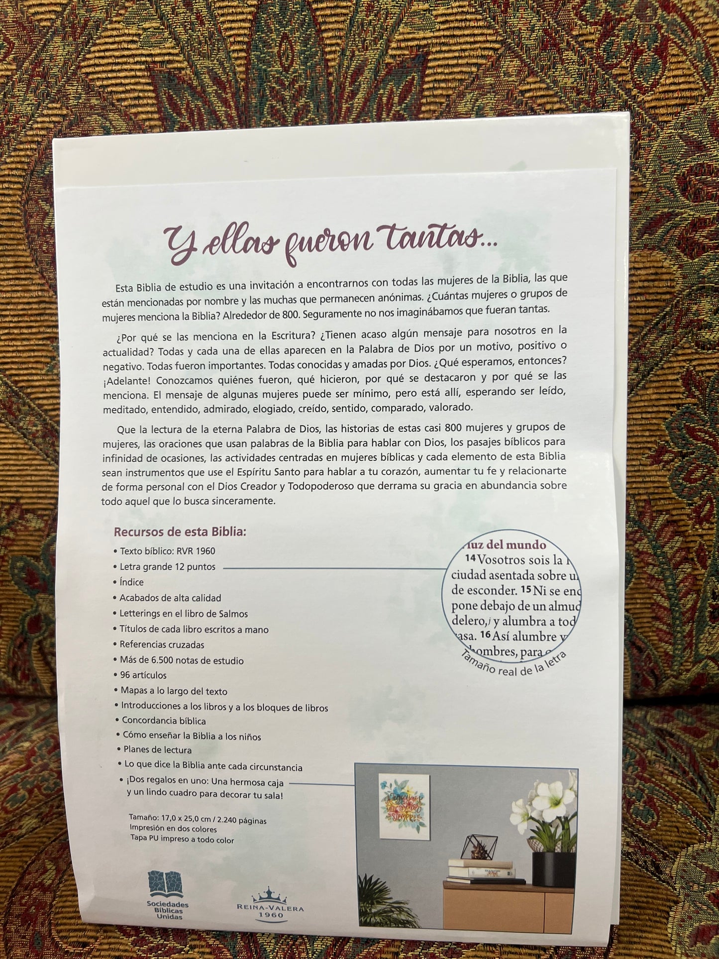 Biblia De Estudio (Ser Mujer) Lectura-Devocional-Estudio (Tulipanes)