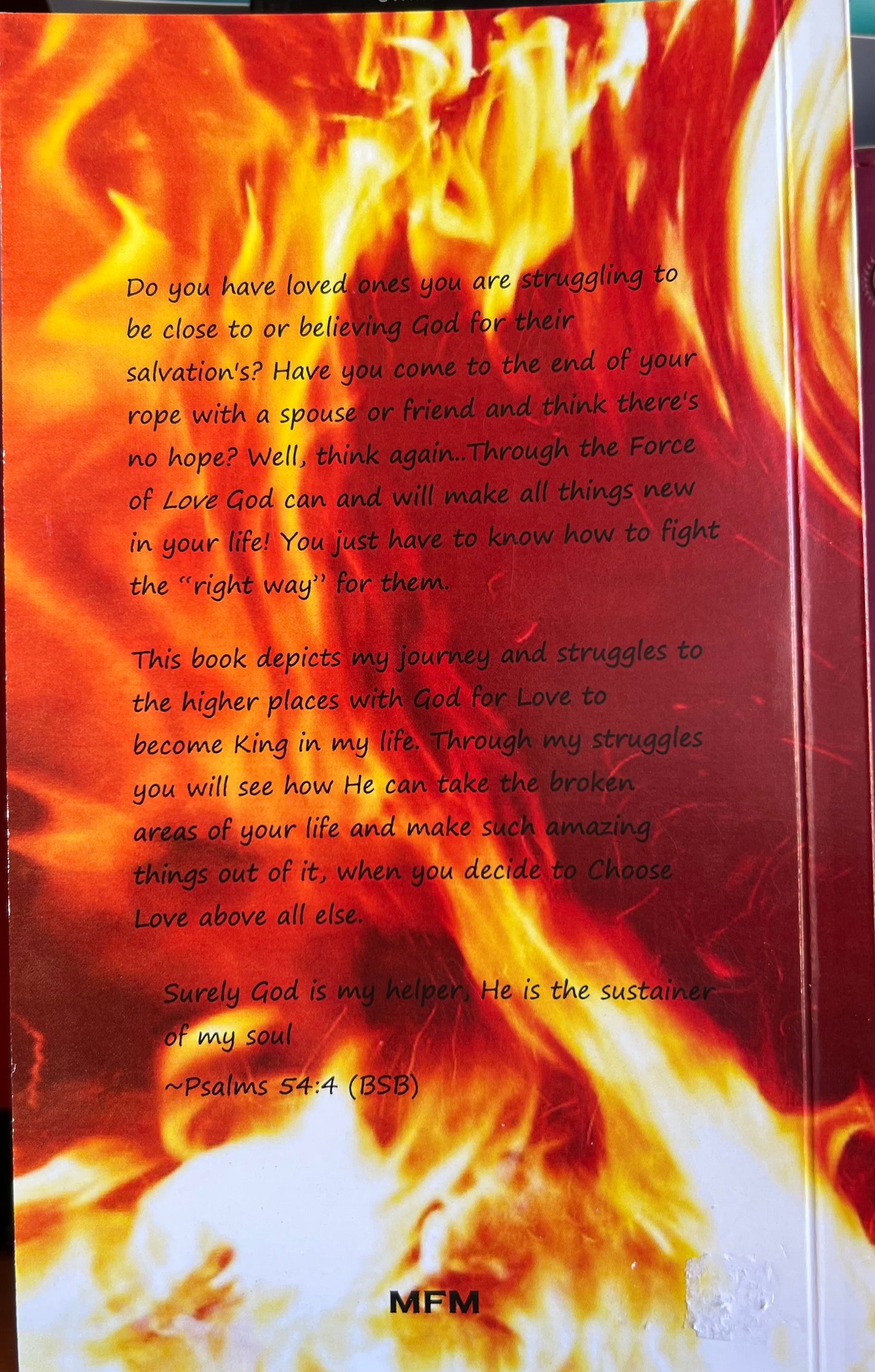 The Little Book Of Love