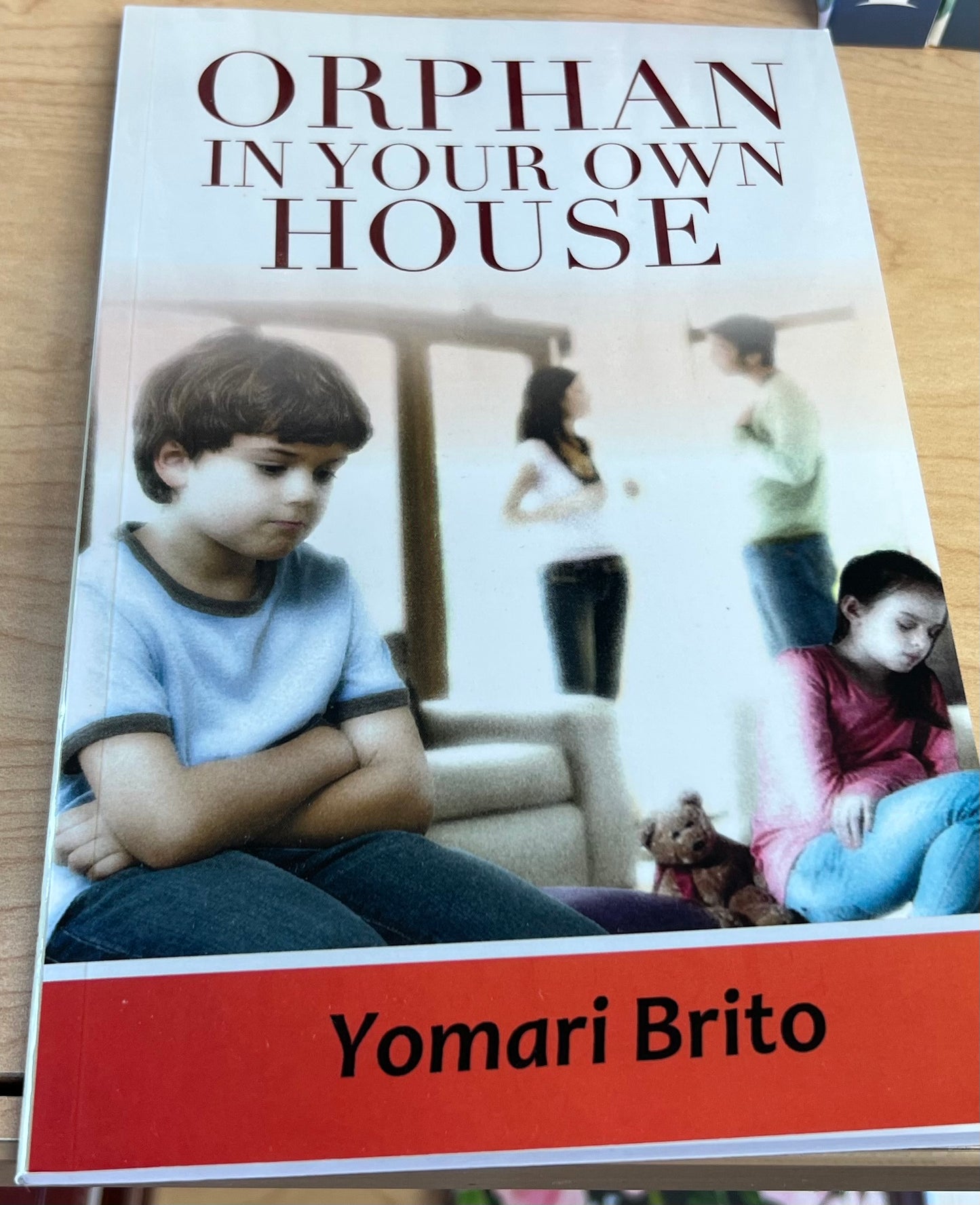 ORPHAN IN YOUR OWN HOUSE By: Yomari A Brito (Paperback)
