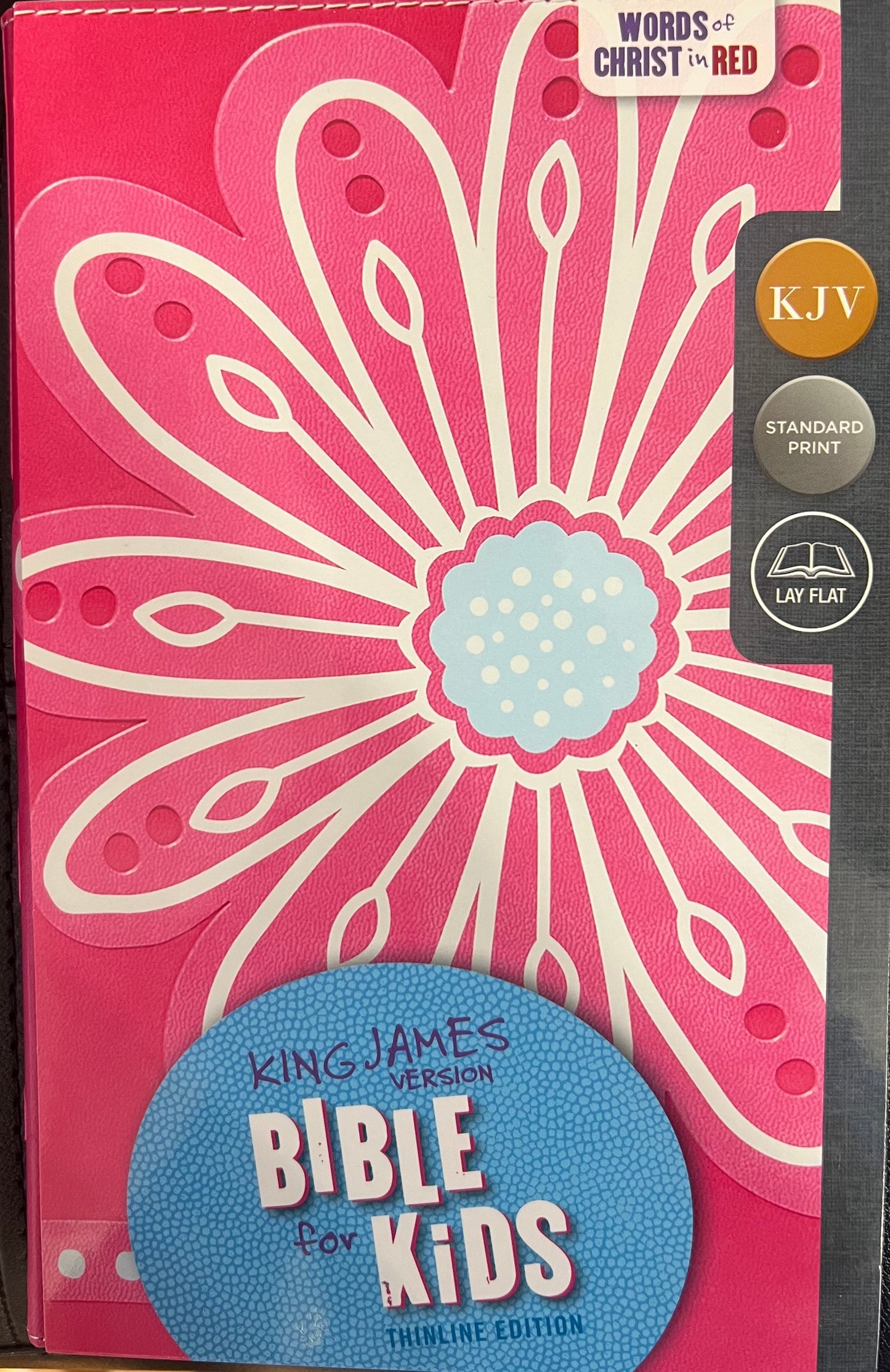Bible for Kids (thinline Edition) - King James Version -Leathersoft Hot pink