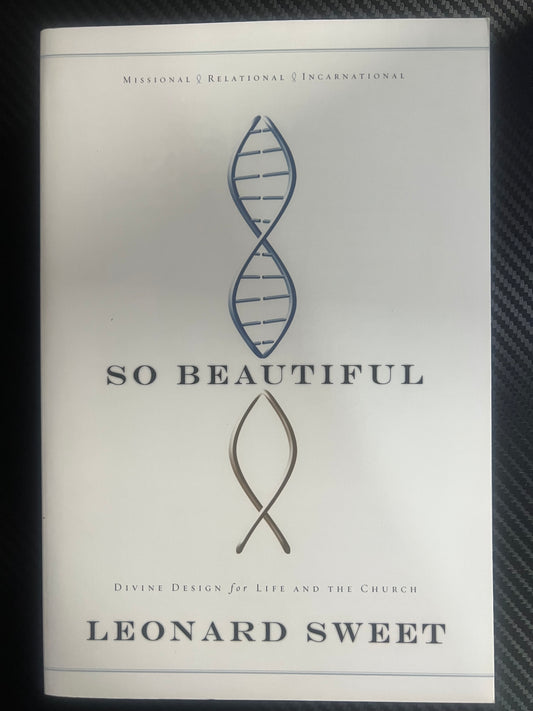 So Beautiful divine design for life and the church by Leonard Sweet