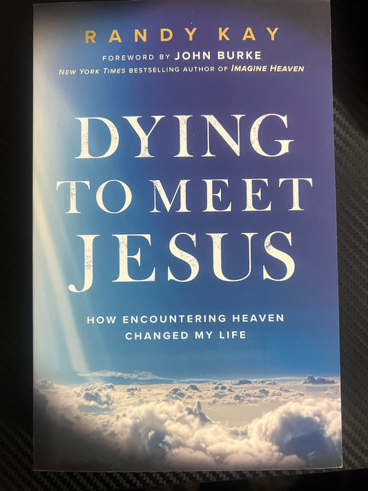 Dying to meet JESUS How encountering heaven by Randy Kay