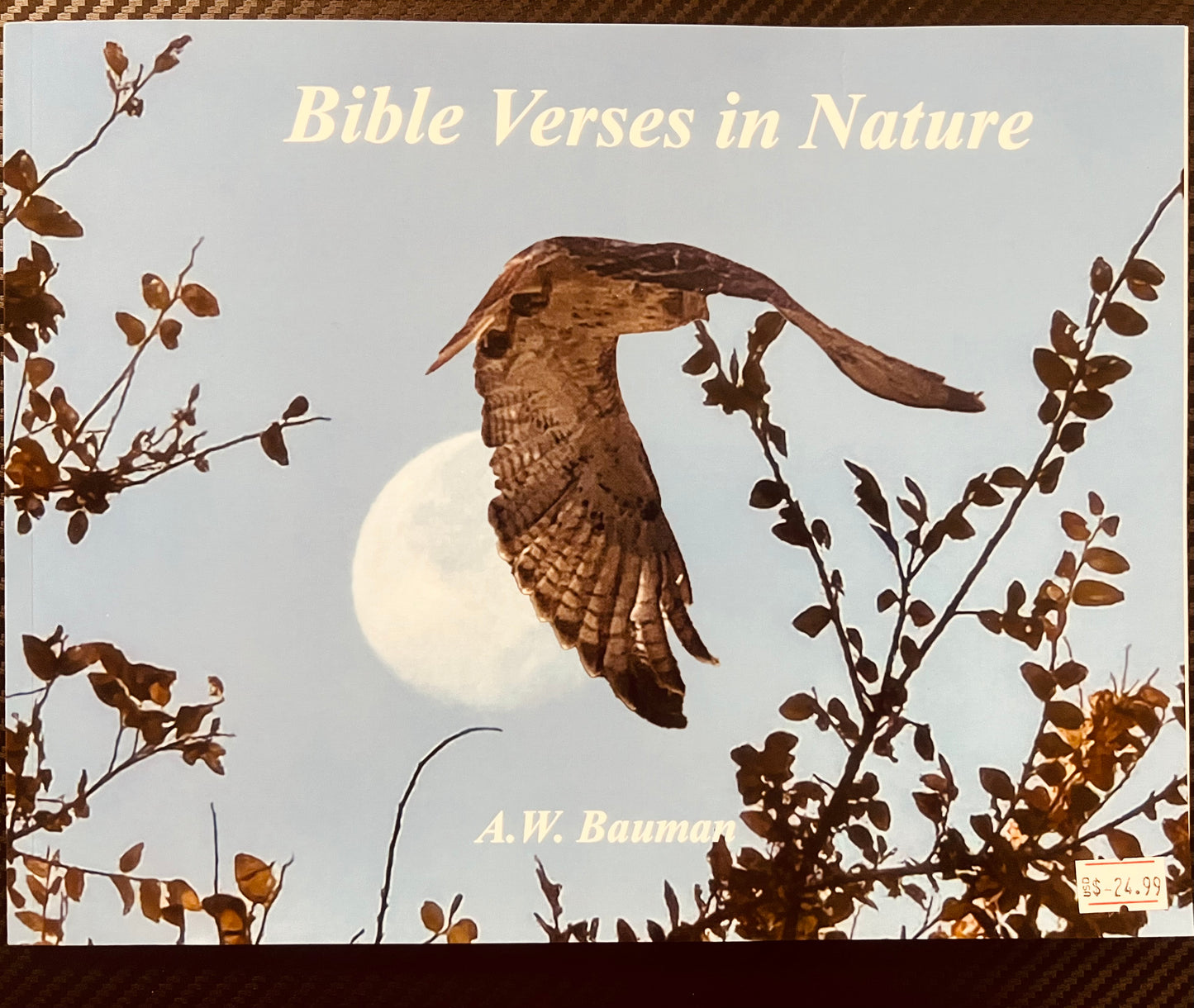 Bible Verses in NATURAL by A.W. Bauman