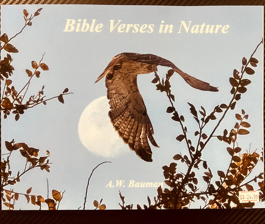 Bible Verses in NATURAL by A.W. Bauman