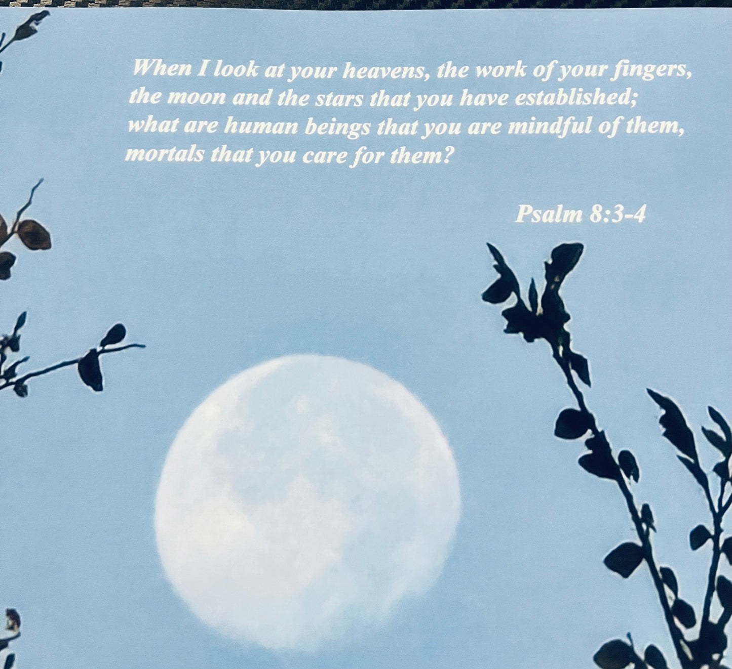 Bible Verses in NATURAL by A.W. Bauman