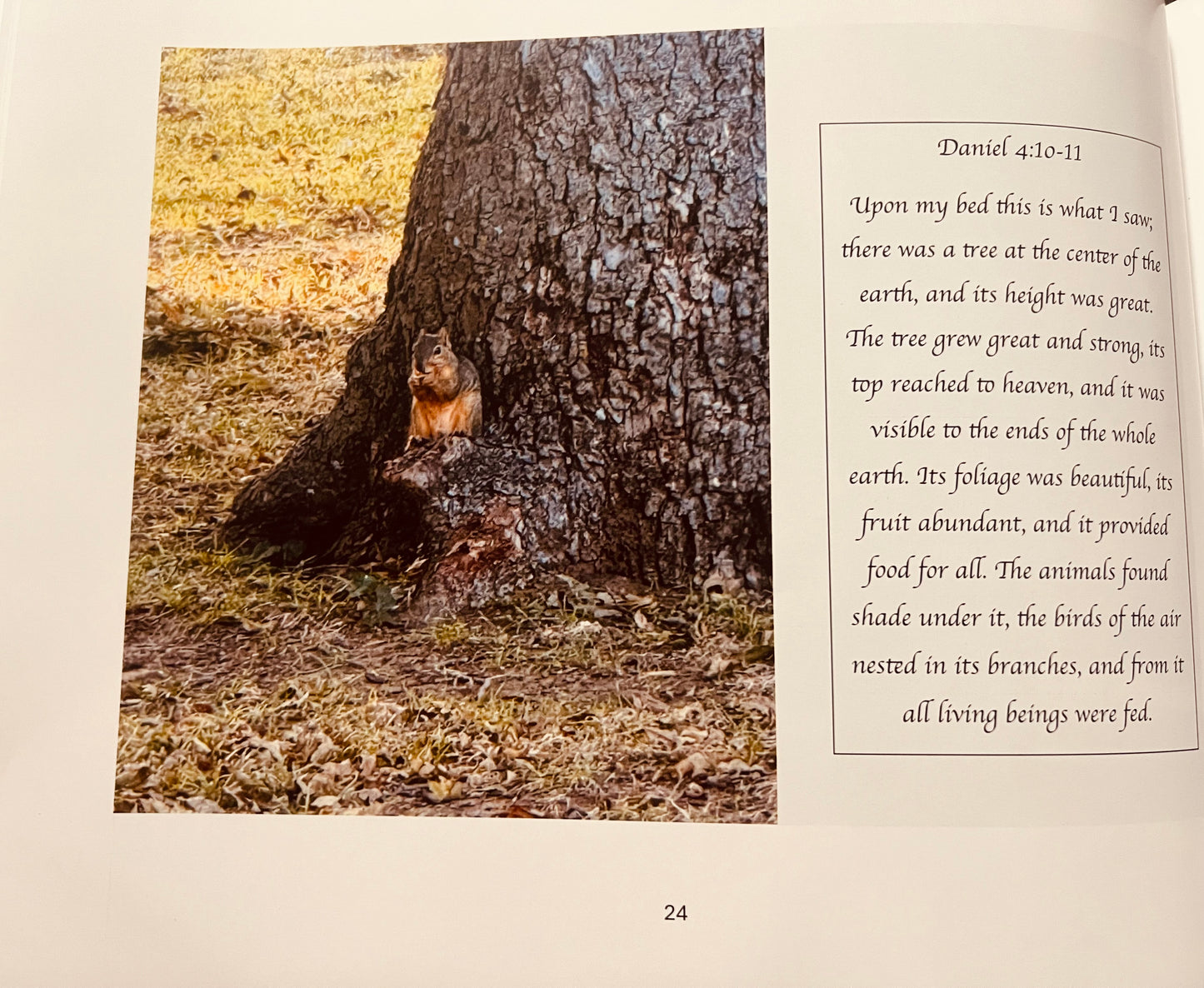 Bible Verses in NATURAL by A.W. Bauman